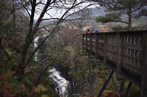 Glenashdale Falls viewpoint